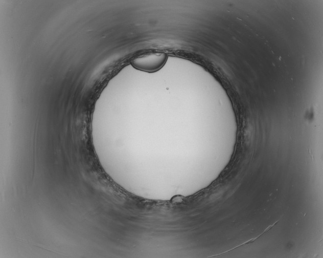 X0000112141016200908281311