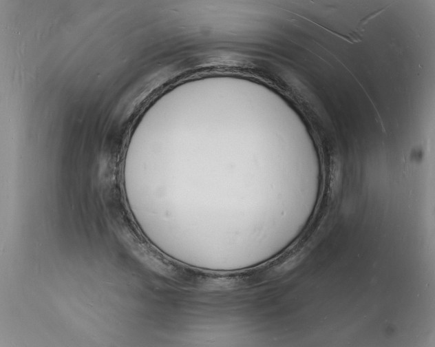 X0000112141017200908281311