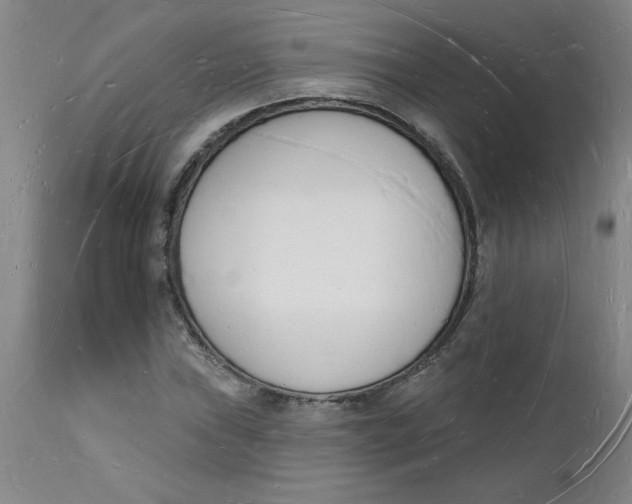 X0000112141019200908281311