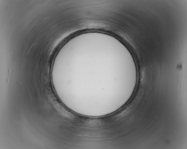 X0000112141021200908281311