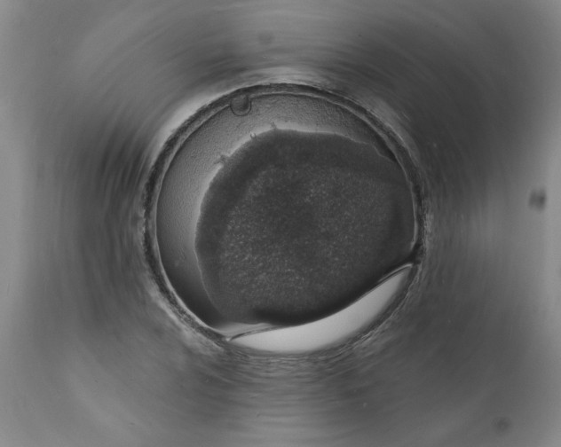 X0000112141024200908281312