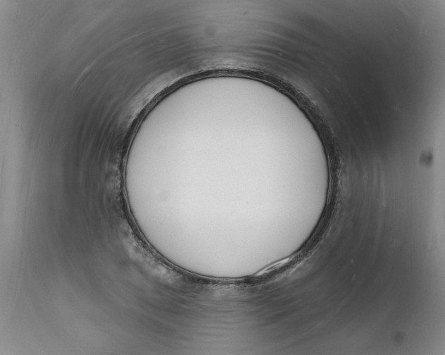 X0000112141025200908281312