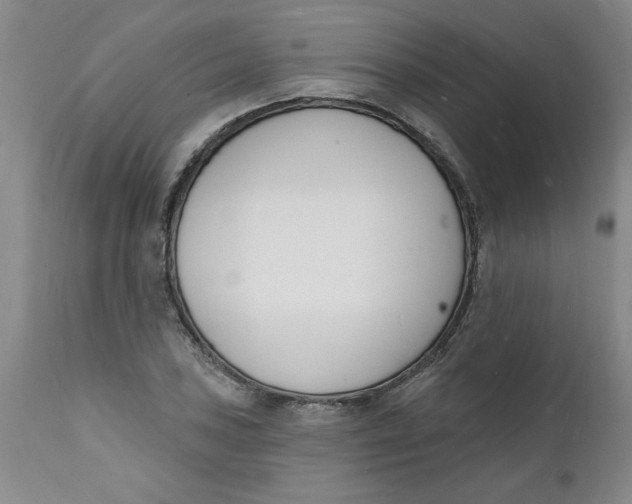 X0000112141027200908281312