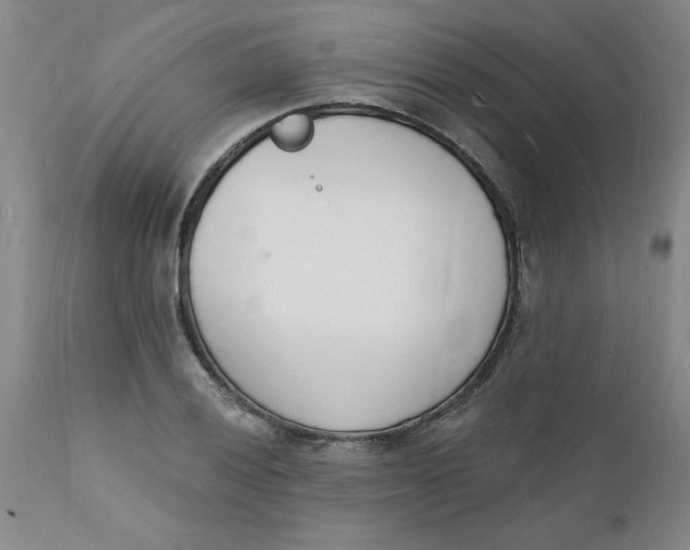 X0000112141028200908281312