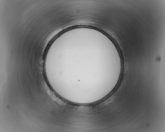 X0000112141029200908281312