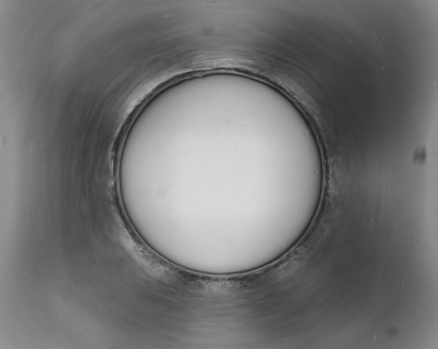 X0000112141031200908281312