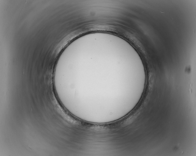 X0000112141033200908281312