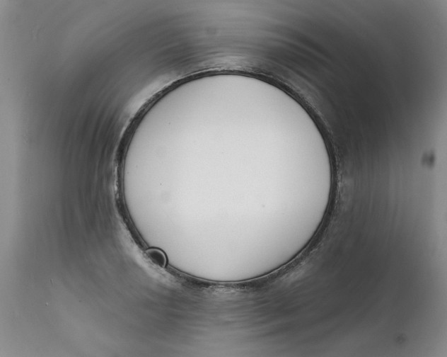 X0000112141034200908281312