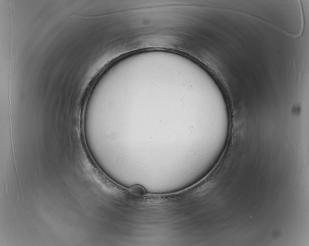 X0000112141035200908281312