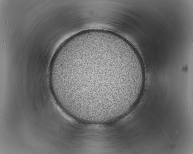 X0000112141037200908281312