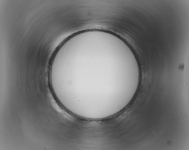 X0000112141038200908281312