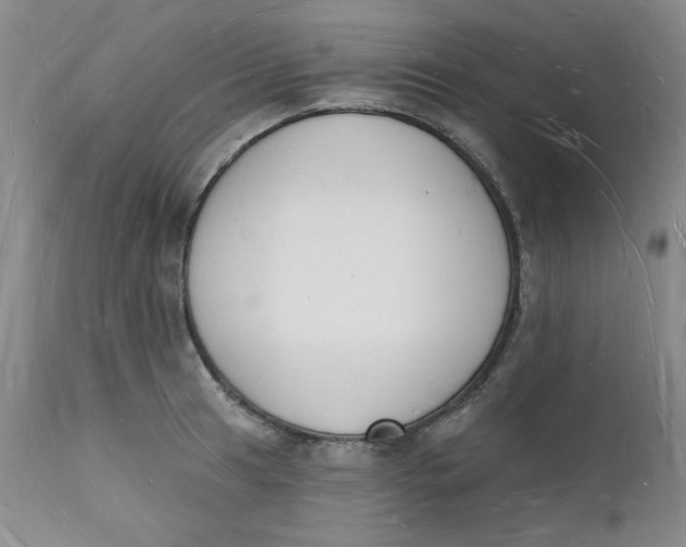 X0000112141041200908281312