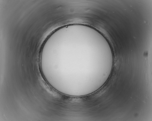 X0000112141043200908281312