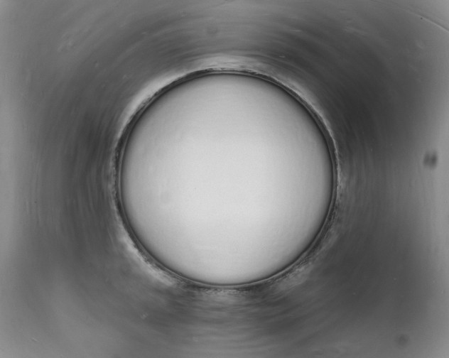 X0000112141045200908281312