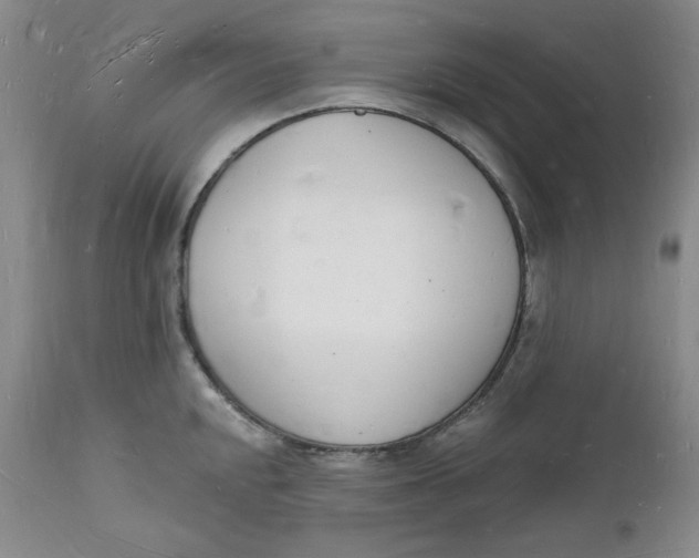 X0000112141048200908281312