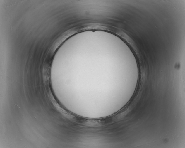 X0000112141049200908281312