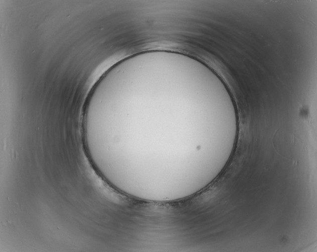 X0000112141050200908281312