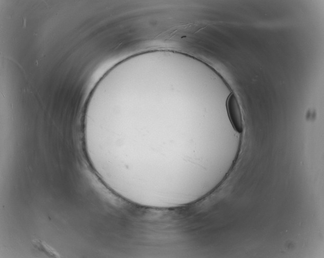 X0000112141056200908281312