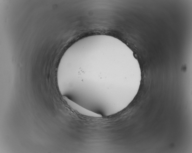 X0000112141057200908281311