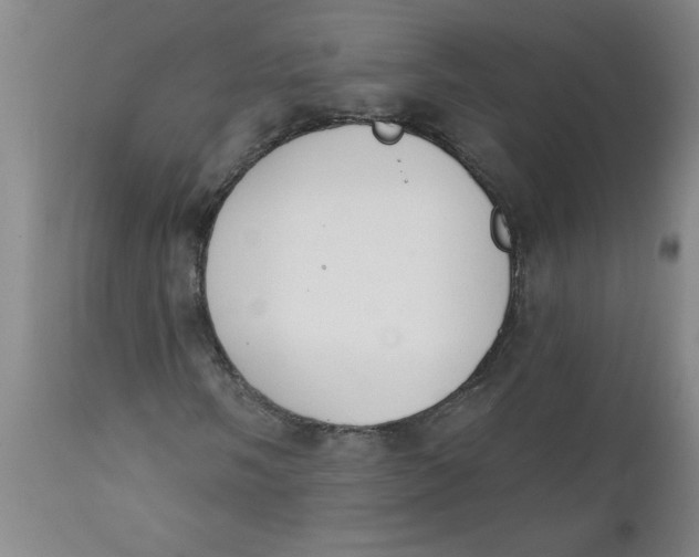 X0000112141058200908281311