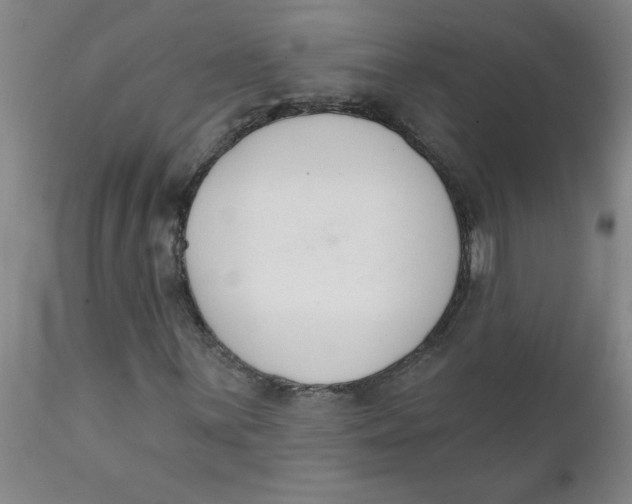 X0000112141059200908281311