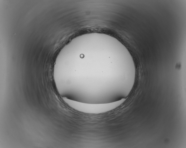 X0000112141060200908281311