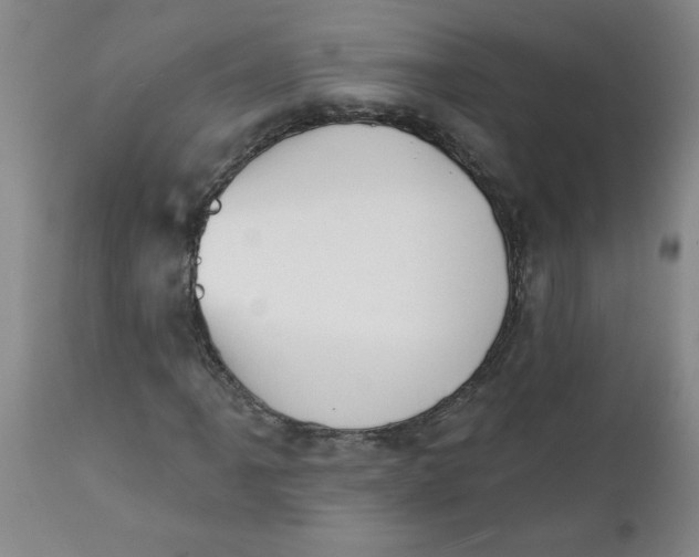 X0000112141061200908281311