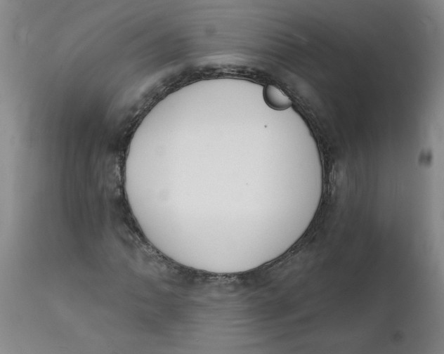 X0000112141062200908281311