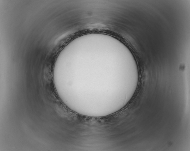 X0000112141063200908281311