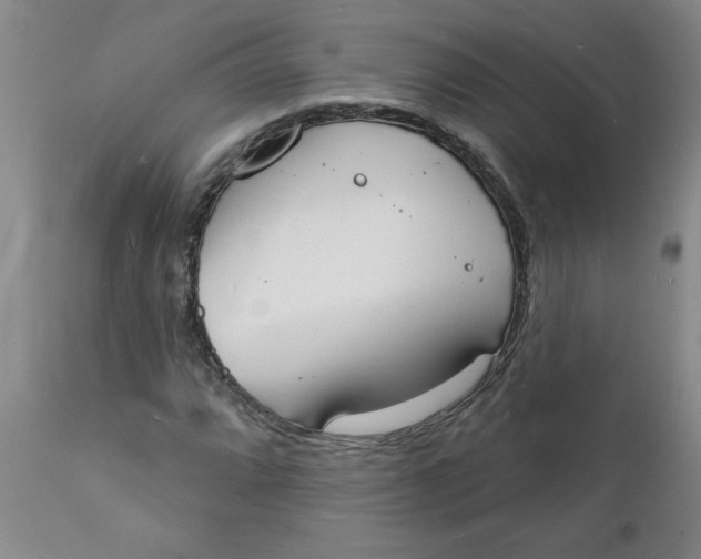 X0000112141064200908281311