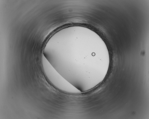 X0000112141065200908281311