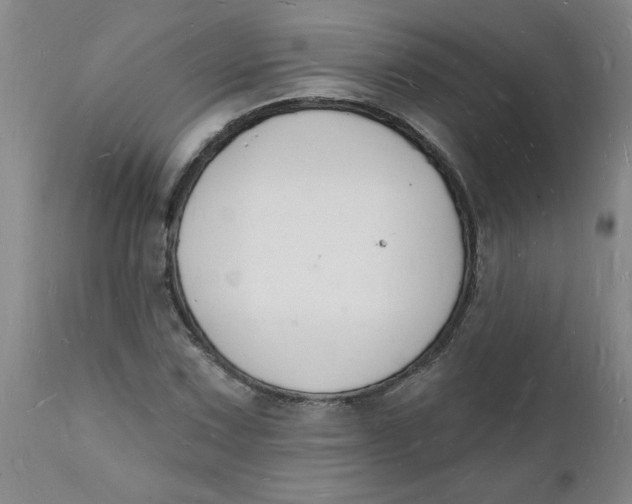 X0000112141067200908281311