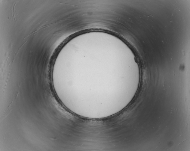 X0000112141068200908281311