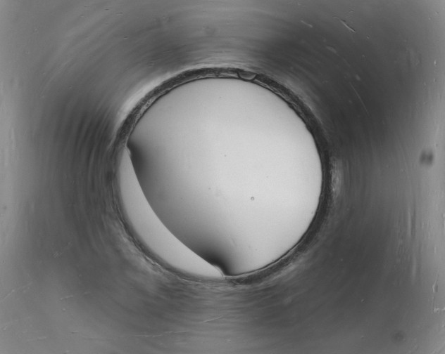 X0000112141069200908281311