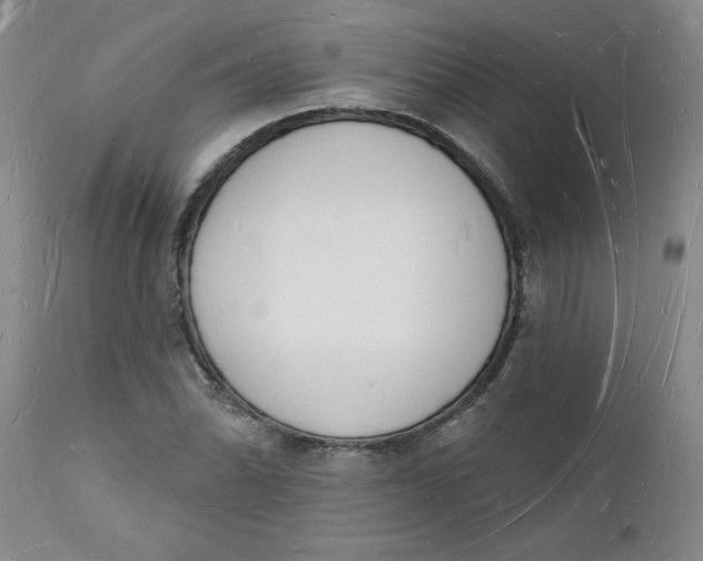 X0000112141070200908281311