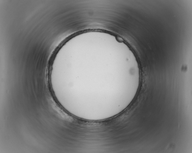 X0000112141076200908281311