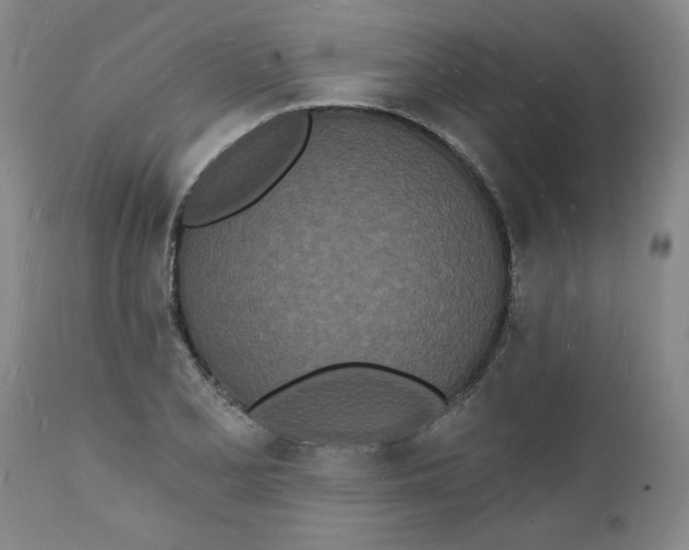 X0000112141077200908281311