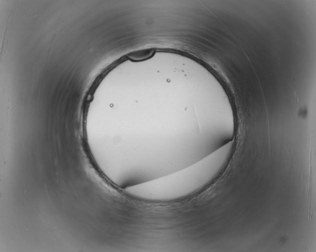 X0000112141080200908281311