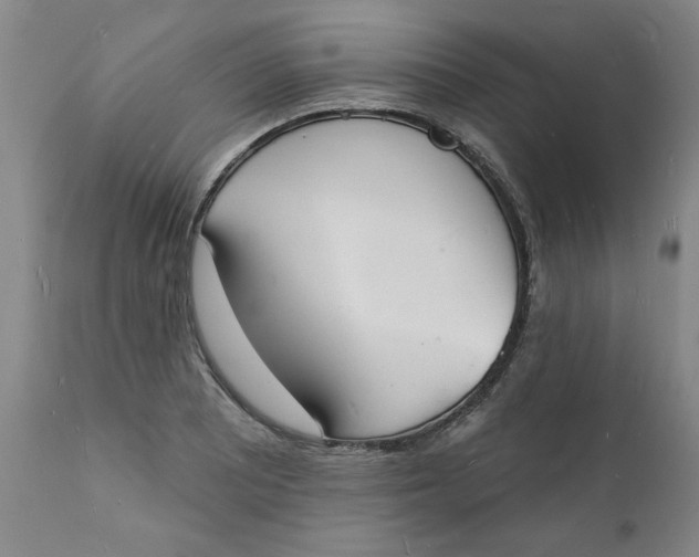 X0000112141081200908281311