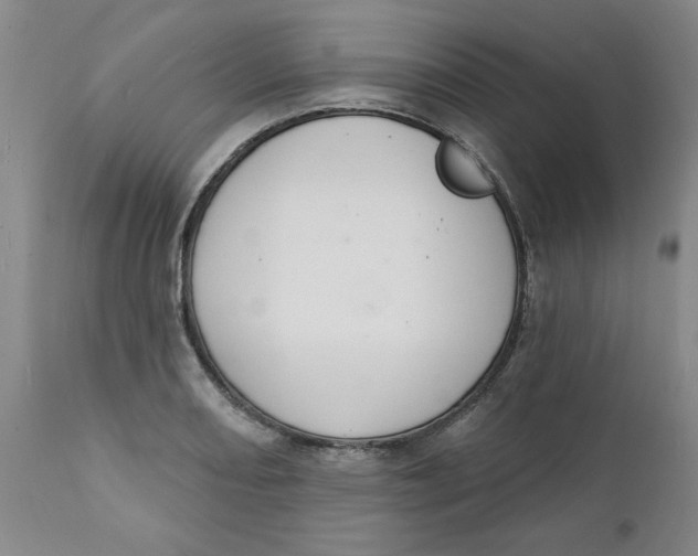 X0000112141082200908281311