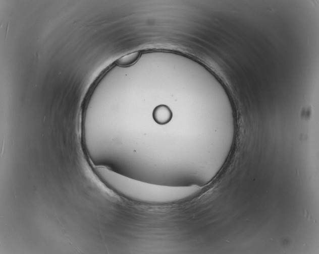 X0000112141084200908281311