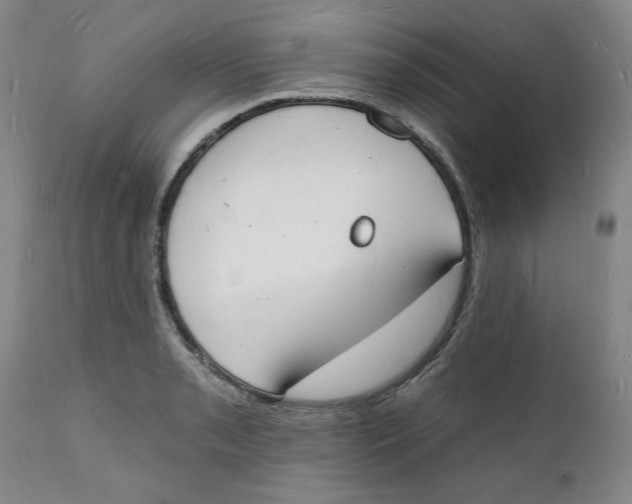 X0000112141085200908281311