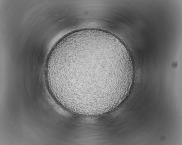 X0000112141086200908281311