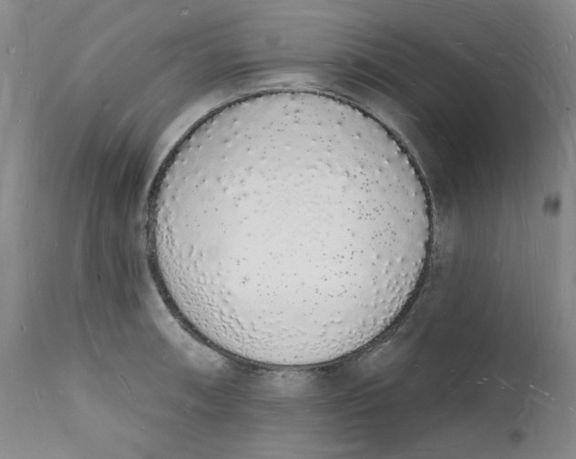 X0000112141090200908281311