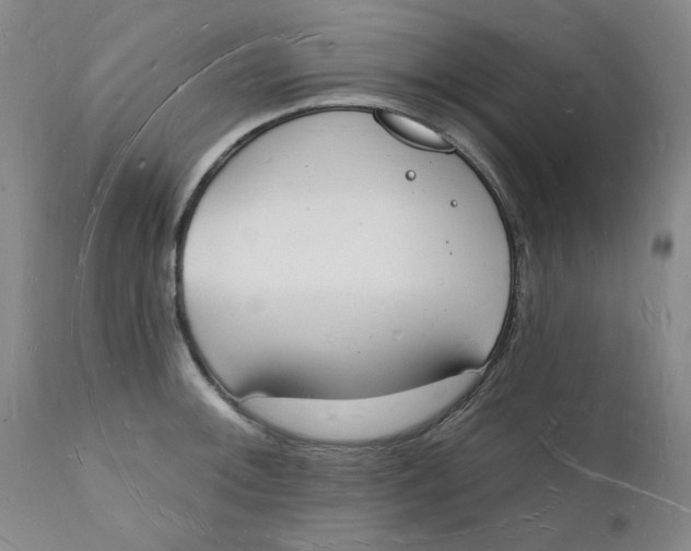 X0000112141092200908281311