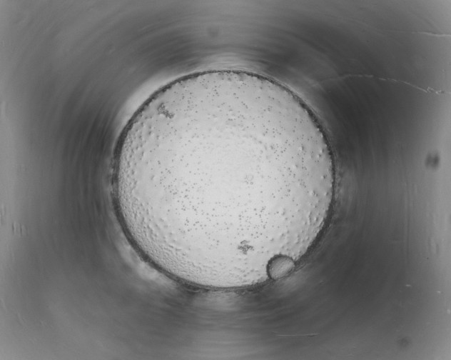 X0000112141094200908281311