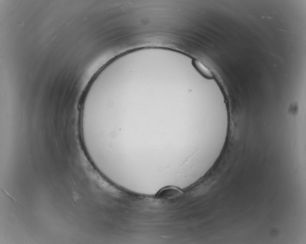 X0000112141096200908281311