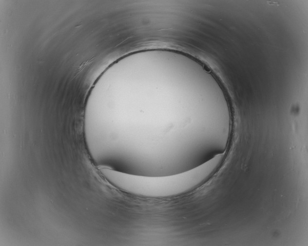 X0000112141097200908281311