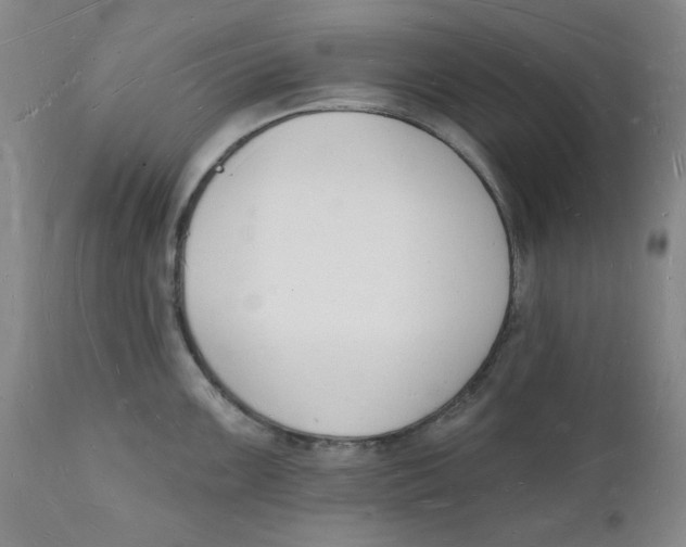 X0000112141099200908281311