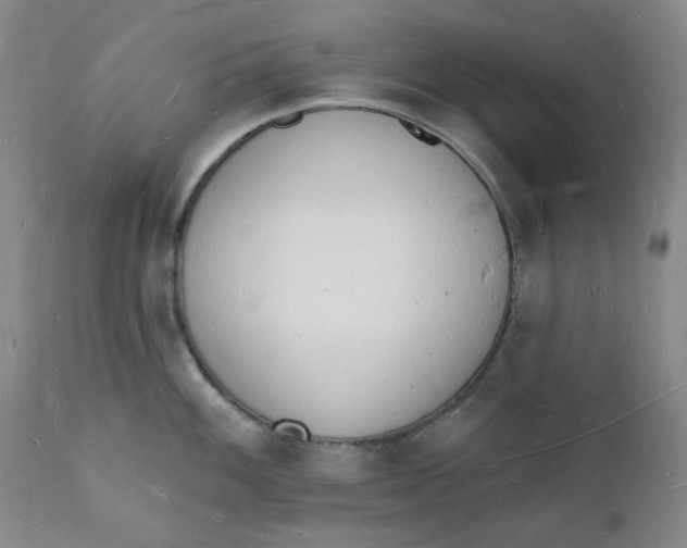 X0000112141100200908281311